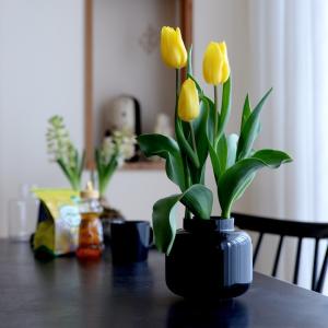 スクルーフ SKRUF RO ベース クリア 花瓶 フラワーベース ガラス 北欧
