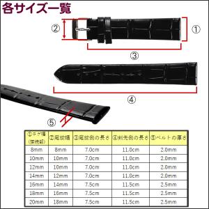 腕時計ベルト 牛革 ワニ皮型押し 薄め バネ棒...の詳細画像2