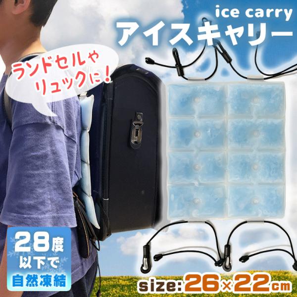 SALE 3980→1580円 ポイント利用 ランドセル 背中 冷却 背中パッド リュック用 冷感パ...