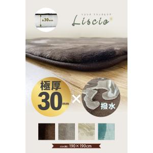 ラグ ラグマット 厚手 30mm 190×19...の詳細画像1