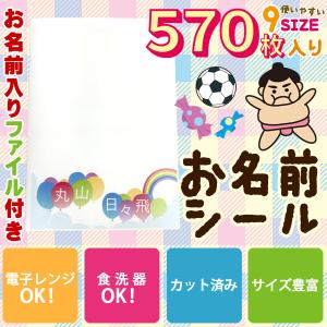 お名前入りファイル付き 電子レンジ・食洗器OK お名前シール...