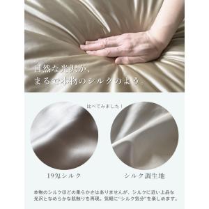 【SALE】 肌掛け布団 ひんやり布団 秋 ブ...の詳細画像3