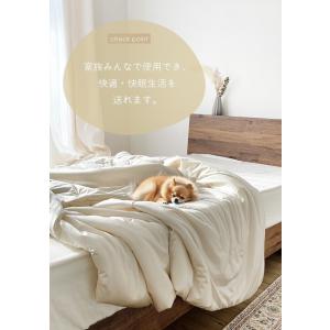 【SALE】 肌掛け布団 ひんやり布団 秋 ブ...の詳細画像4