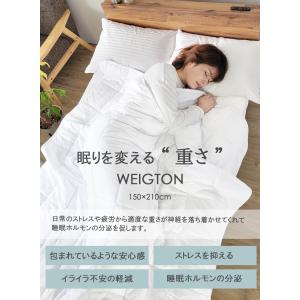 布団 重い布団 加重布団 重い毛布 シングル ...の詳細画像2