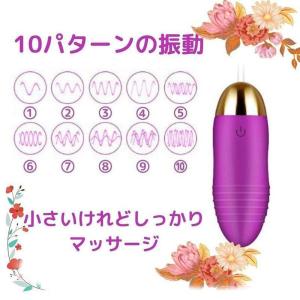 ハンディマッジャー小型 電動マッジ器 ワイヤレ...の詳細画像2
