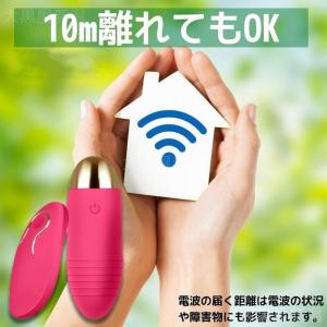 ハンディマッジャー小型 電動マッジ器 ワイヤレ...の詳細画像4