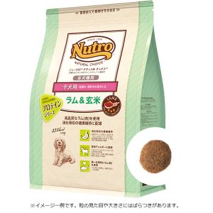 ナチュラルチョイス ニュートロ ナチュラルチョイス 鹿肉＆玄米 超小型