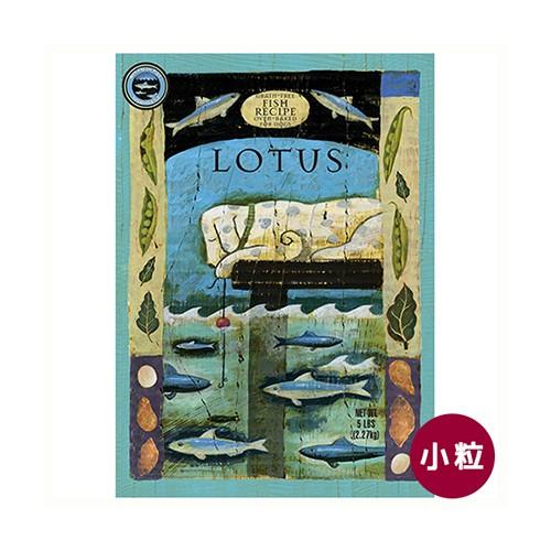 ロータス　グレインフリー　フィッシュレシピ　小粒　80g（6610136）