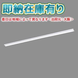 Panasonic（パナソニック） NNW4610ENZ LE9 40形 ライトバー(防湿型