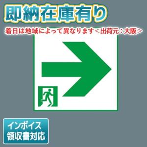 Panasonic（パナソニック） [法人限定][即納在庫有り] FK10350 誘導灯