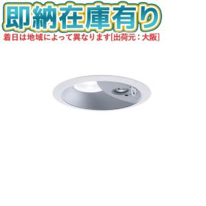 Panasonic（パナソニック） [法人限定] NDG24600WK ※受注品 ダウン