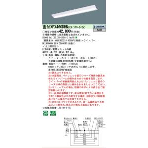 ▲[法人限定][即納在庫有り] XFX460D...の詳細画像1