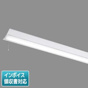 Panasonic（パナソニック） [法人限定] NEL4205GN LE9 40形 ライトバー