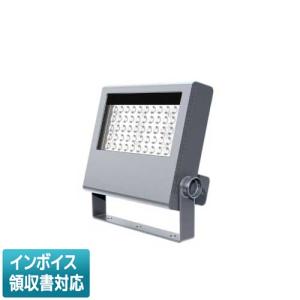 TOSHIBA（東芝） [法人限定] LEDS-06909NW-LS9 LED 投光器 重耐塩形 昼