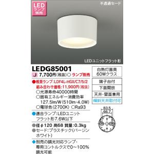 ODELIC 安心のメーカー保証 UN4403RB オーデリック ランプ類 LED