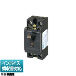 日東工業 GE53CX 3P 30A F100 漏電ブレーカ 協約形 : 電材ONLINE