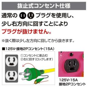 ●[即納在庫有り] PIPB-EB-N 日動工...の詳細画像4