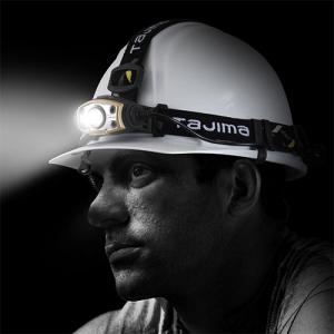 ○[即納在庫有り] LE-E501D-SPタジ...の詳細画像3