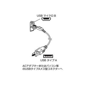 ○[即納在庫有り] LE-E501D-SPタジ...の詳細画像4