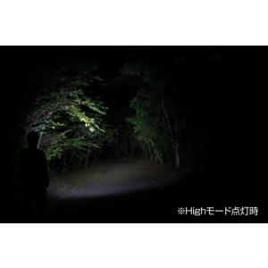 ○[即納在庫有り]GT-701D GENTOS...の詳細画像4