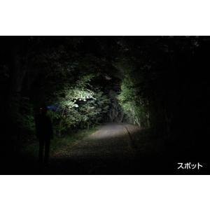 ○[即納在庫有り] HLP-2504 GENT...の詳細画像3