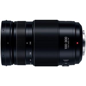 Panasonic LUMIX G VARIO 100-300mm F4.0-5.6 II POWER O.I.S. 製品画像