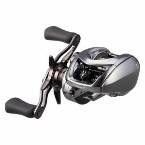 DAIWA（釣り） 23 スティーズA2 TW 1000H 釣り ベイトリール - 最安値