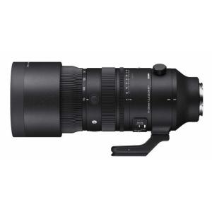 ソニー Gレンズ 70-300mm F4.5-5.6 G SSM II SAL70300G2 交換