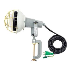 日動工業 AFL-E5010J　LEDエコビック投光器（取付枠タイプ）50W アース付 電線長10m｜light-kan