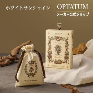 茶道具 水指 水差し 平水指 白交趾焼き 山水画 山本一如作 塗蓋 白交趾