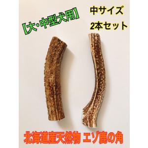 鹿の角【中サイズ】お買い得２本セット！！☆★送料無料☆★税込価格　犬のおもちゃ 鹿角ガム　鹿角　歯磨き　犬のガム　犬用ガム　ドッグガム