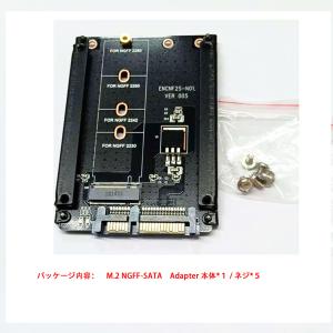 M.2 SSD変換マウンター M.2 (NGF...の詳細画像5