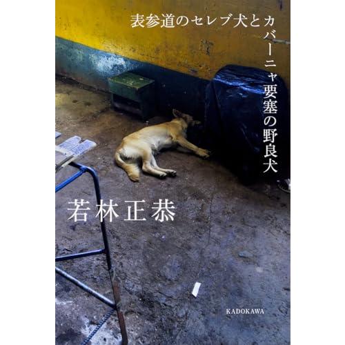 表参道のセレブ犬とカバーニャ要塞の野良犬
