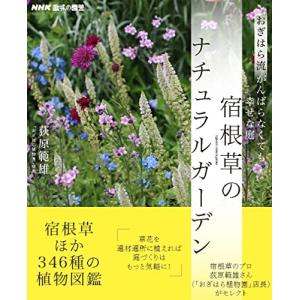 NHK趣味の園芸 おぎはら流 がんばらなくても幸せな庭 宿根草のナチュラルガーデン (生活実用シリーズ)