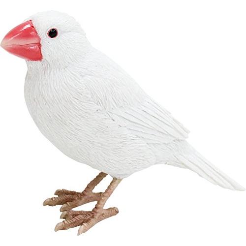白文鳥 オブジェ BIRDIE BILL JAVA SPARROW (バーディ ビル ジャバ スパロ...