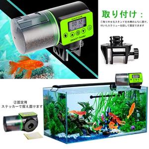 BlueFire 魚自動給餌器 餌やり器 オー...の詳細画像5