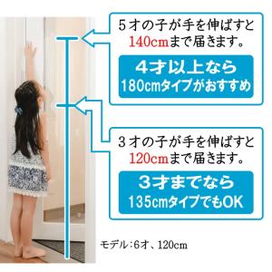 ドアへの指はさみ防止グッズ「賃貸用はさマンモス...の詳細画像3