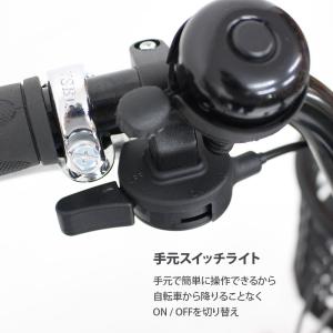 ロータイプ3輪自転車 LEDライト付き スイン...の詳細画像4