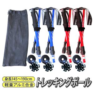 2点セット スノーシュー トレッキングポール ...の詳細画像1