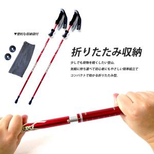 2点セット スノーシュー トレッキングポール ...の詳細画像4