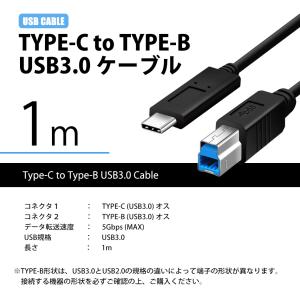 USBケーブル TYPE-C to TYPE-...の詳細画像5