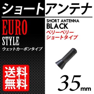 カーボン アンテナ ユーロタイプ ベリーベリーショート 35mm ブラック / 黒 送料無料｜lightning