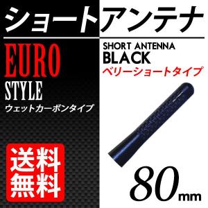 カーボン アンテナ ユーロタイプ ベリーショート 80mm ブラック / 黒 送料無料｜lightning