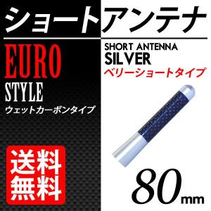 カーボン アンテナ ユーロタイプ ベリーショート 80mm シルバー / 銀 送料無料｜lightning