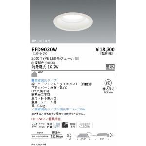 遠藤照明 LED ダウンライト EFD9030W 工事必要