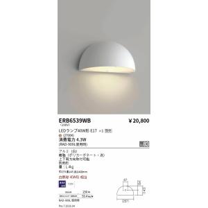 遠藤照明 ペンダント プラグ ERP7511B : ライトプロフィット - 通販