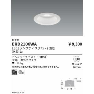 LEDZ 遠藤照明(ENDO) LEDZ リニア32 L:900タイプ メンテナンスユニット