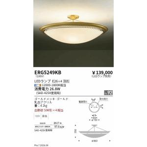 Panasonic（パナソニック） [法人限定] NNK10001N LJ9 LED電源ユニット