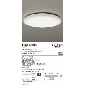 DNライティング FLR32T6EXL DNライティング エースラインランプ 長さ