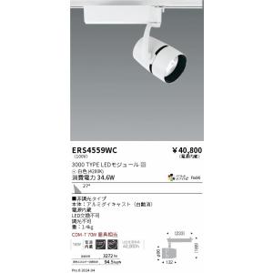 遠藤照明 ERS4559WC ＣＯＢスポット／３０００タイプ／アパレルＷ４２００Ｋ／広角